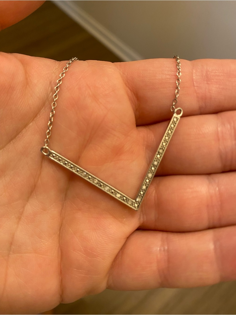 Delicate V-Shaped Crystal Pendant Necklace - Silver Tone